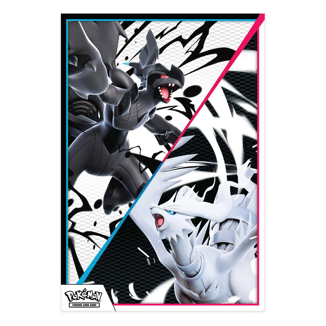 Pokemon: Scarlet & Violet - Black Bolt & White Flare - Poster Collection